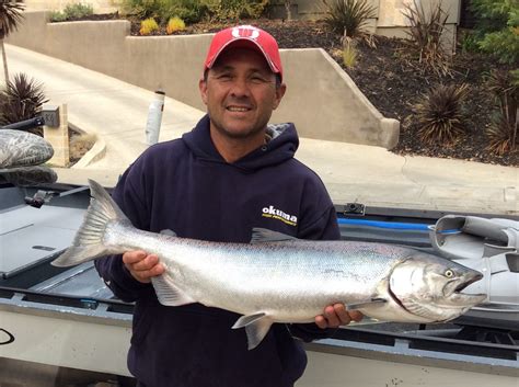 american river salmon fishing report.